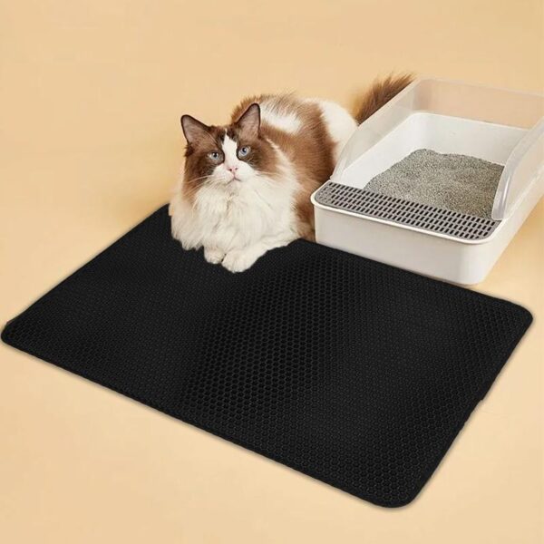 Double Layer Cat Litter Mat Non Slip Cat Litter
